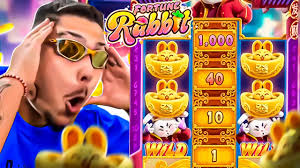 7-rabbit.com